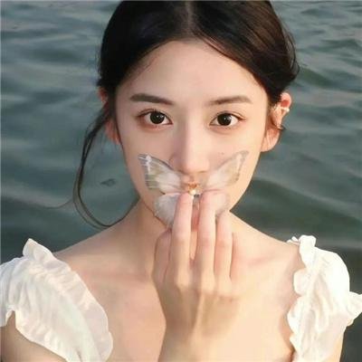蓝色矢车菊
